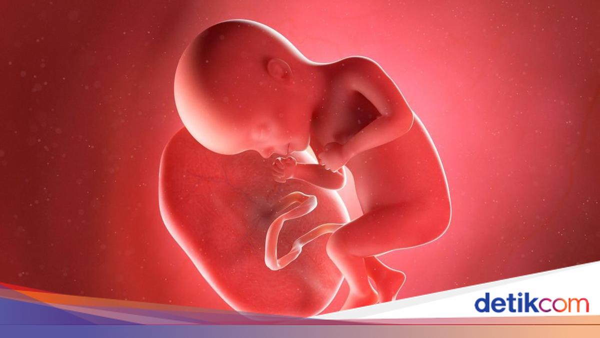 Shock as Baby Placenta Smuggling Ring Uncovered for Anti-Ageing Drug Production