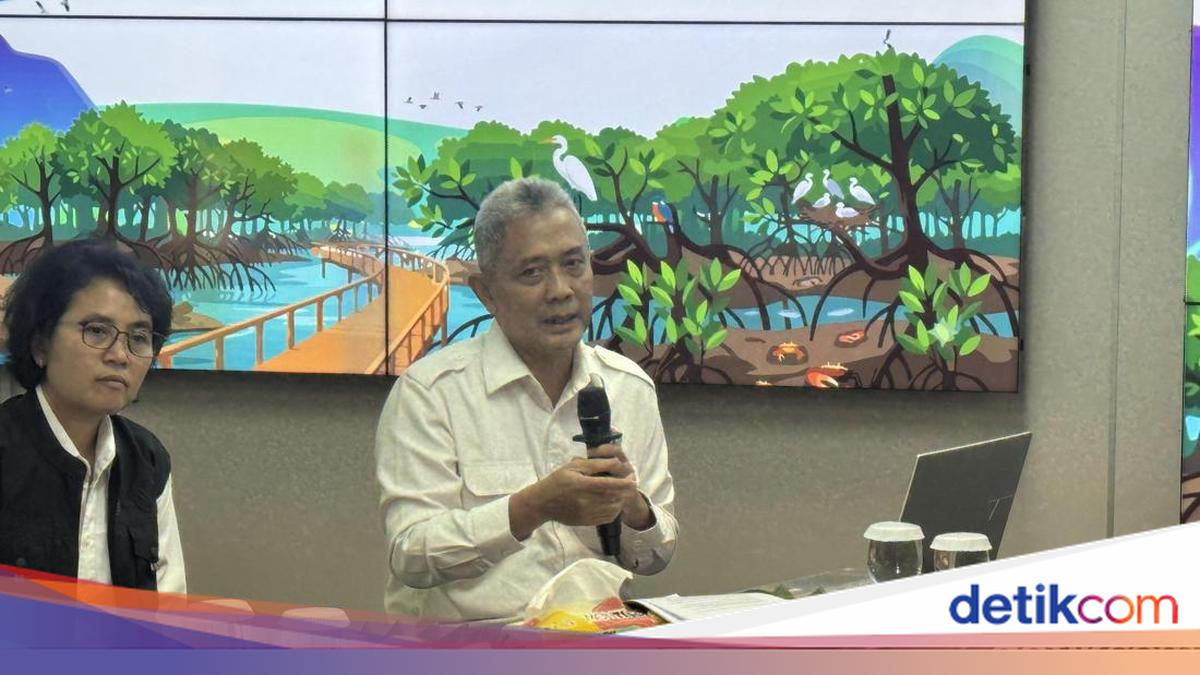 Environment Ministry Evaluates Sumatran Disaster Zones, Sends Spatial Planning Recommendations to BPN