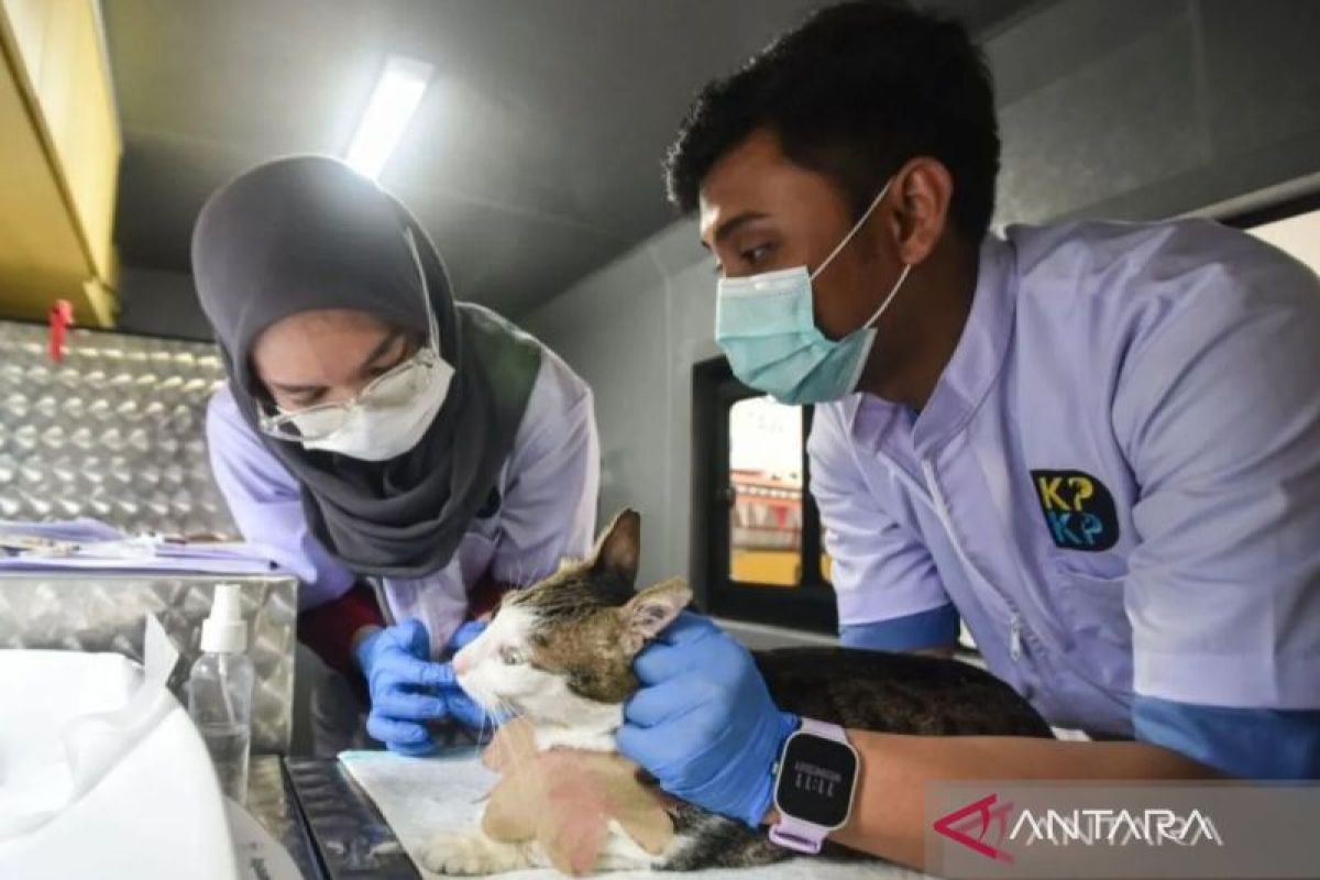 Jakarta's Mobile Vet Clinic Serves 128 Animals in First Week