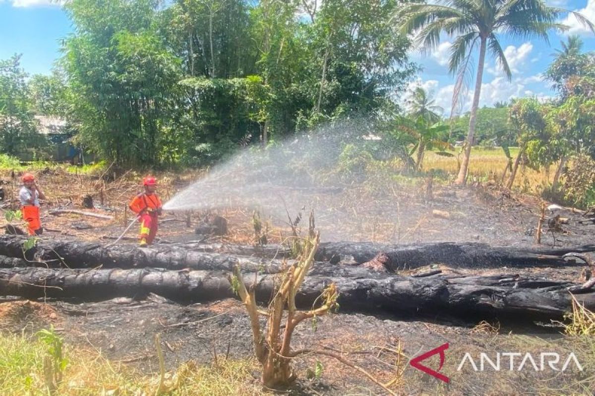 BNPB: Forest and Land Fires in South Kalimantan's Tapin and HSS Extinguished, Patrols Tightened in Vulnerable Areas