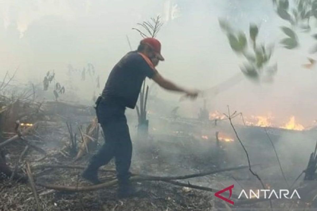 BNPB reveals trigger for Klaten land fire spreading into forest