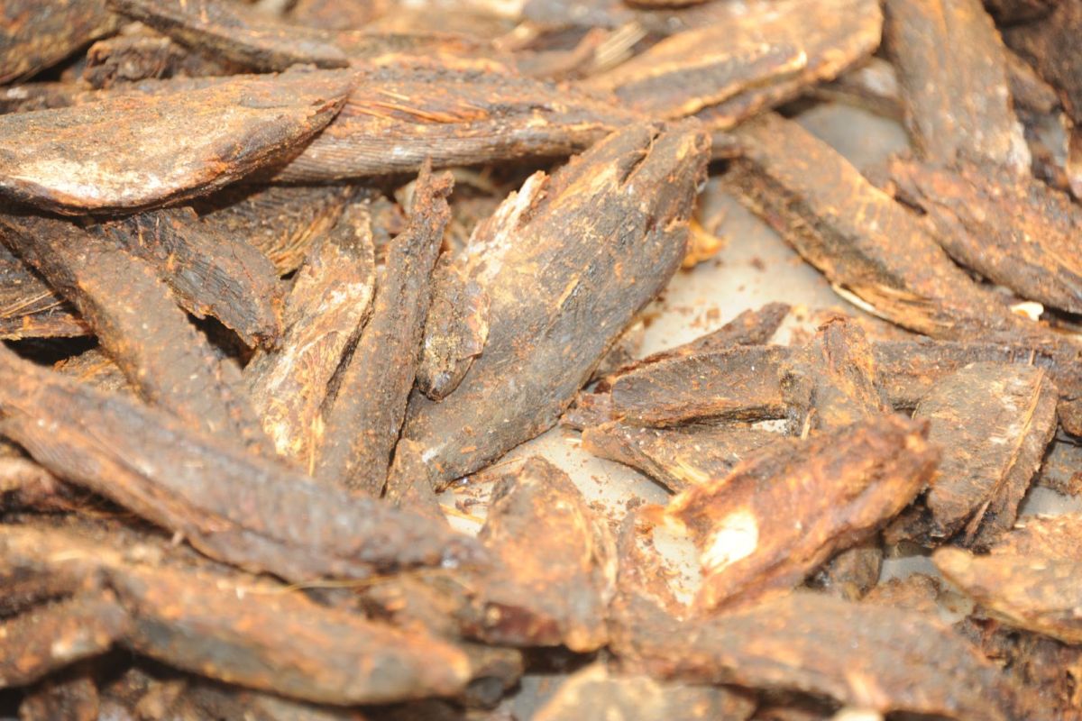Wooden fish and smoked fish now eligible for Warehouse Receipt System, says KKP