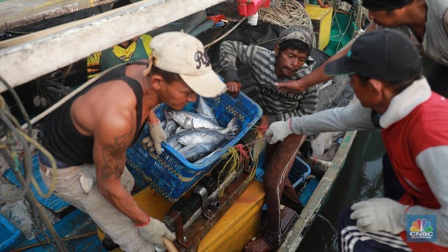 Zulhas Targets Fishermen's Welfare Boost Within Two Years Using 'Red and White Fishermen's Village' Scheme