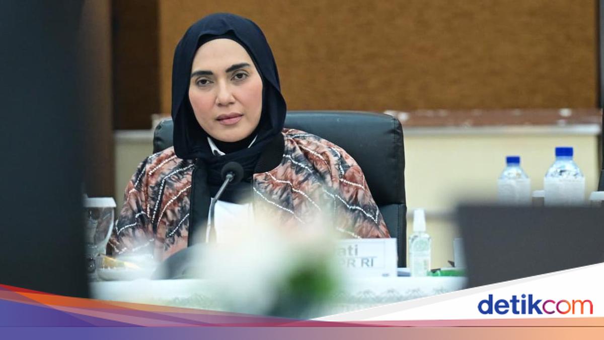 DPR Deputy Speaker: Carbon Trading Must Prioritise Public Welfare, Not Just Business