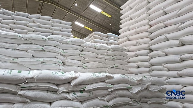 Bulog Plans to Sell 2 Million Tonnes of 'Beras Kita' Premium, Critics Warn of Misplaced Subsidies