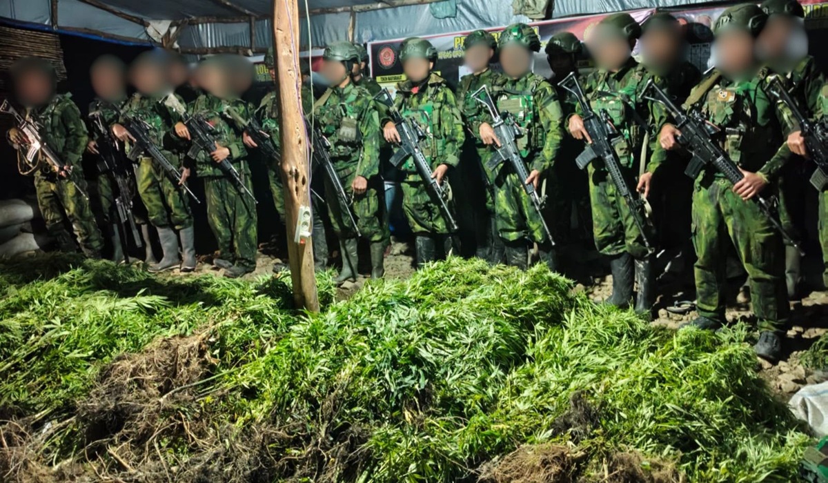 TNI Habema Discovers 5,000 Cannabis Plants in Yahukimo, Papua