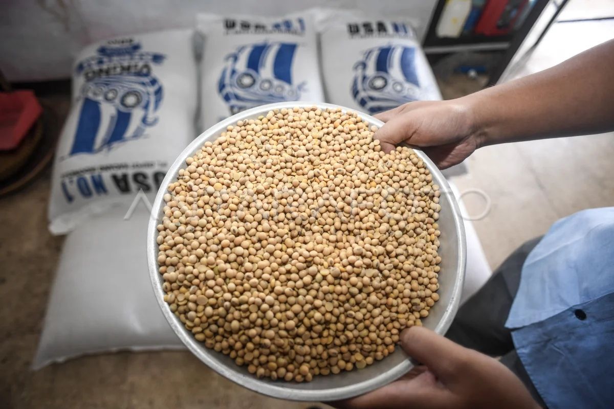 Deputy Cooperatives Minister Urges Gakoptindo to Strengthen Imported Soybean Supply Chain