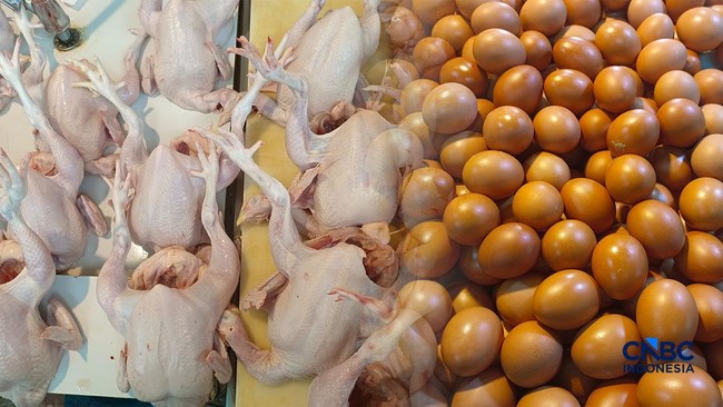 Trade Minister Says Egg and Chicken Meat Prices Are in Ideal Condition, Here's Why