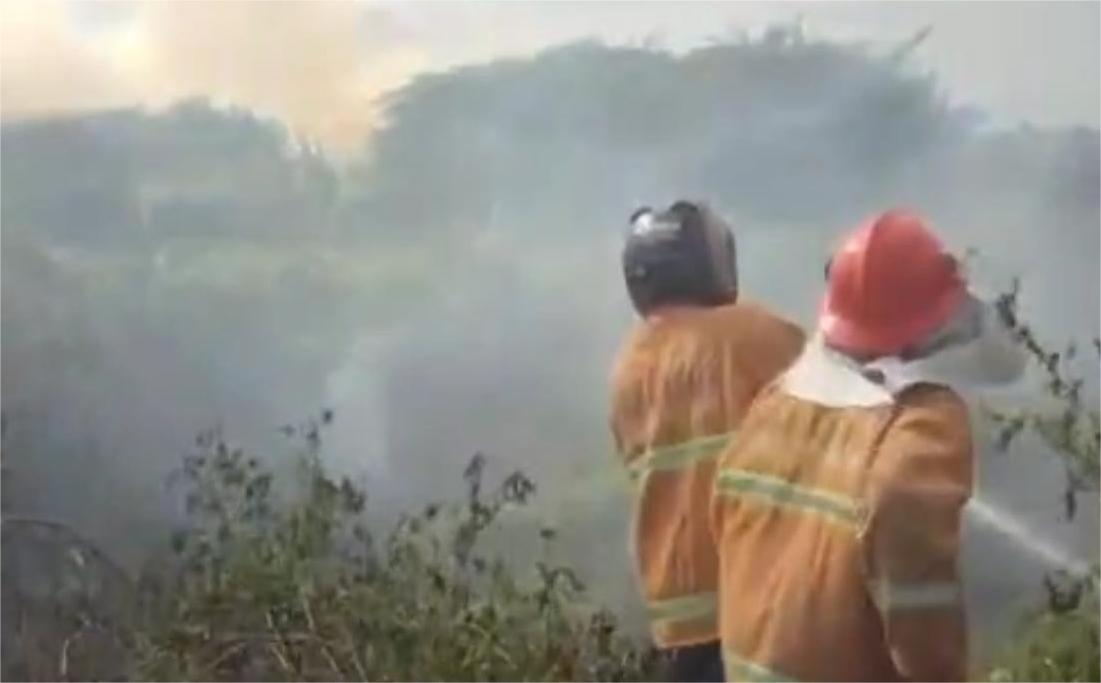 Indramayu Forest Unit Tightens Security to Prevent Forest Fires During Dry Season