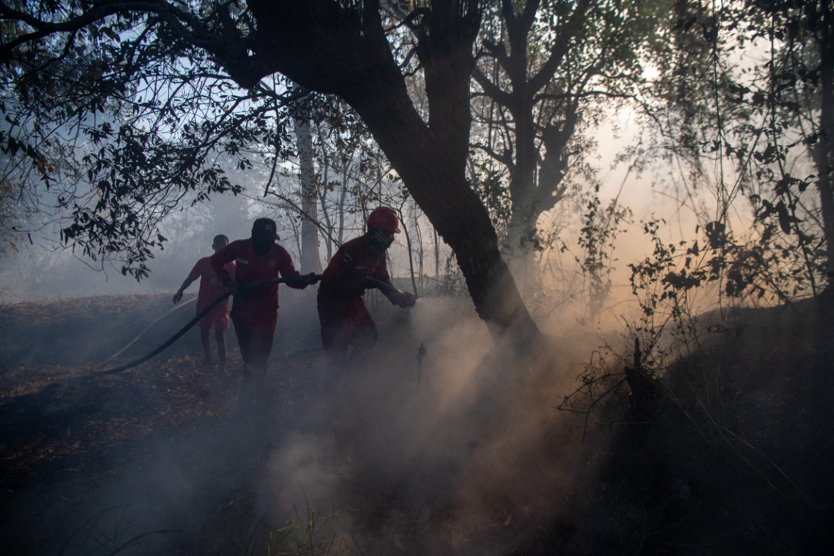 East Java BPBD Records 15 Forest and Land Fires During 2026 Dry Season