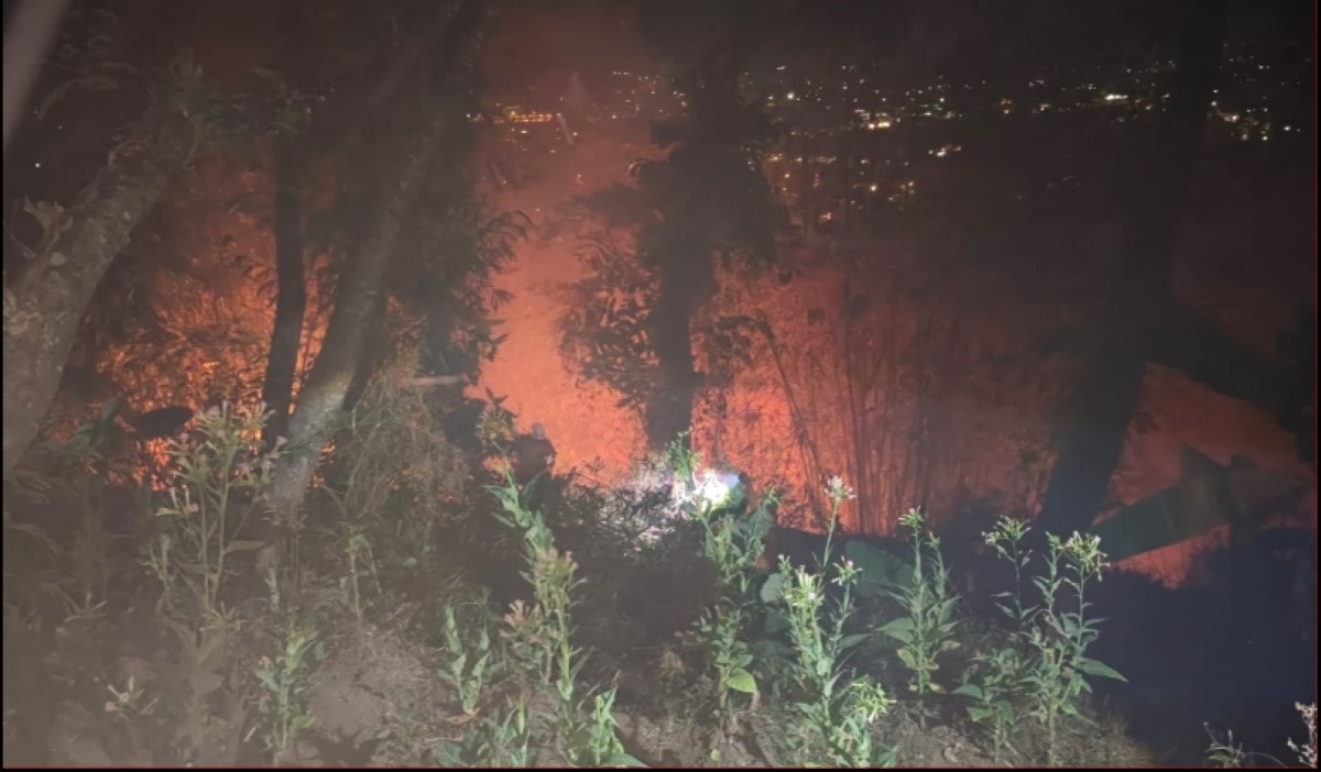 Forest and Land Fire in Gunung Putri, Garut, Scorches One Hectare