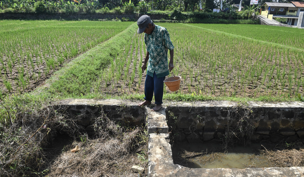 Anticipating Peak Dry Season, 19 Regions in Central Java on Alert for Drought and Forest Fires