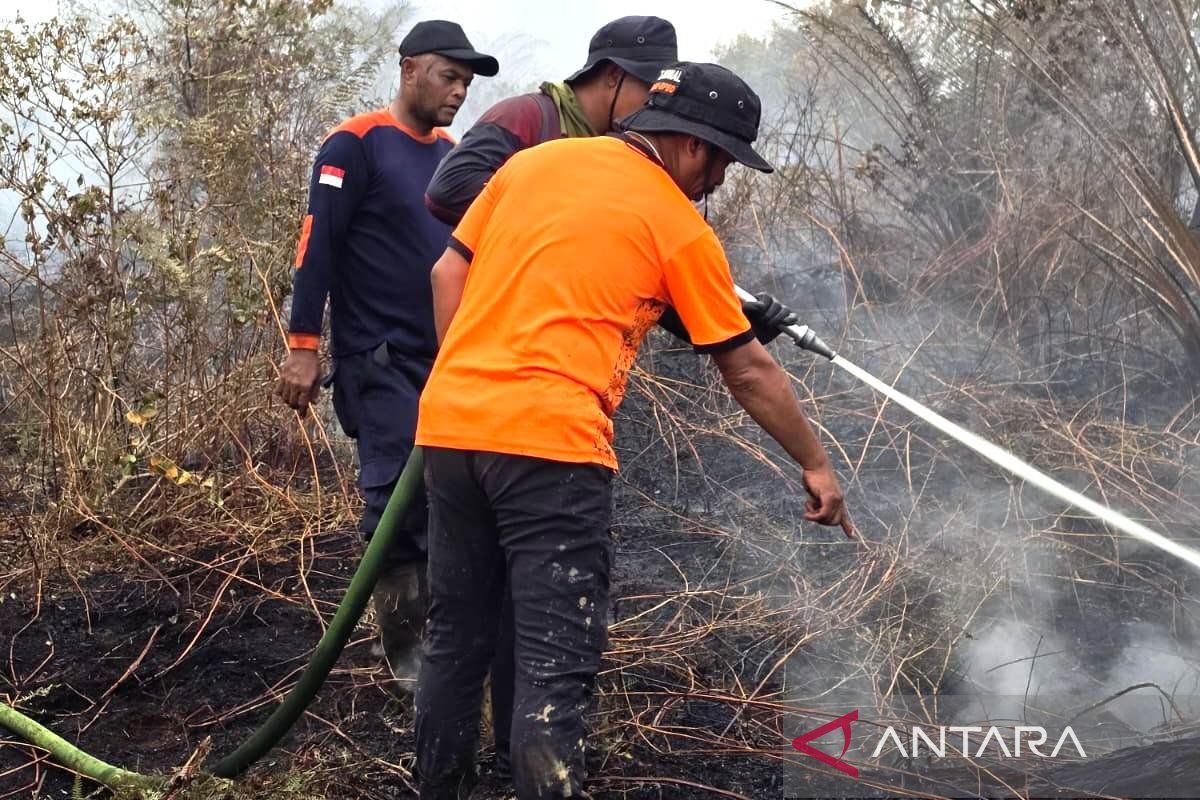 Forest and land fires spread across three sub-districts in West Aceh