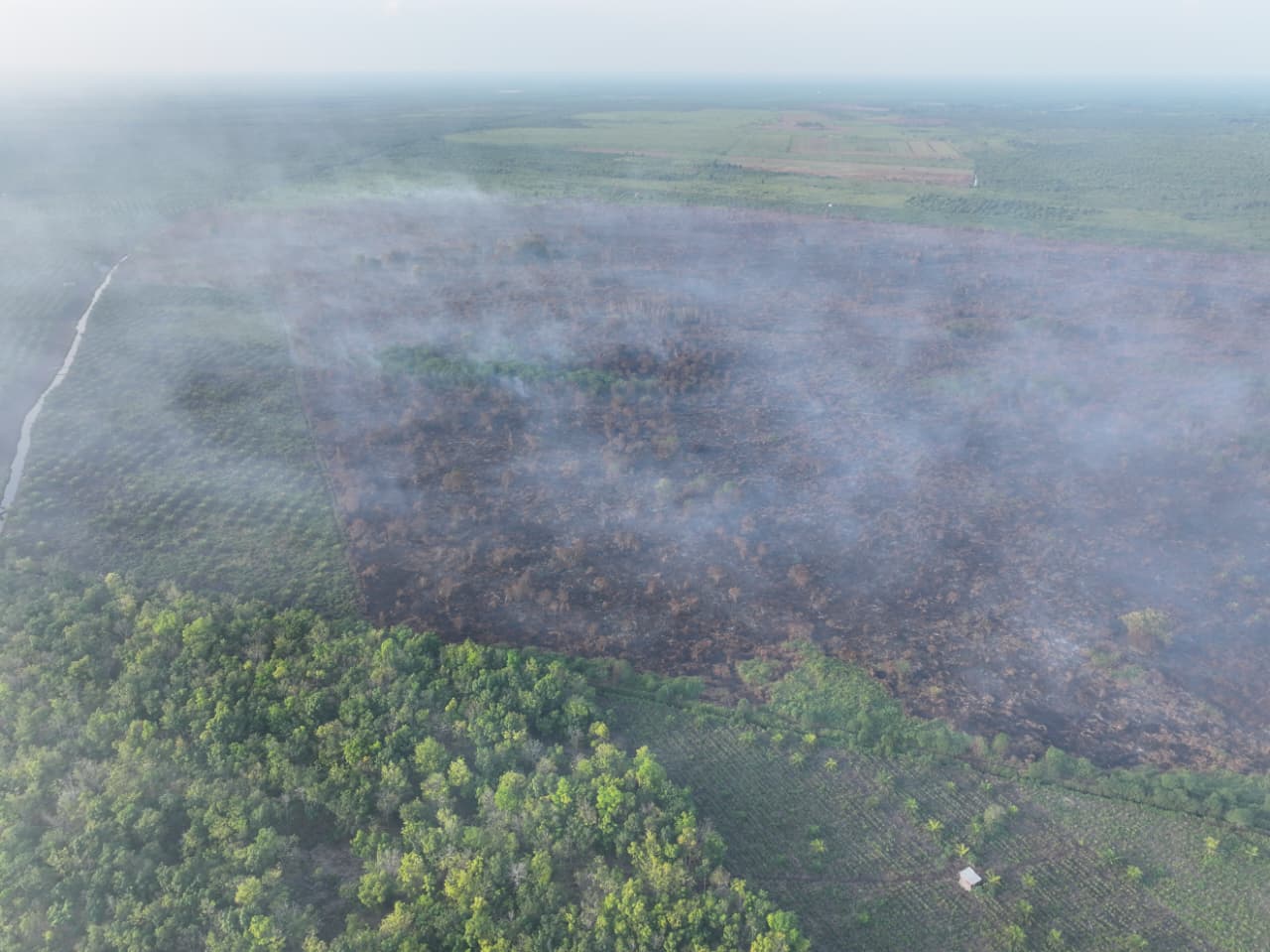 Firefighting Continues on 81-Hectare Peatland Fire in Bengkalis