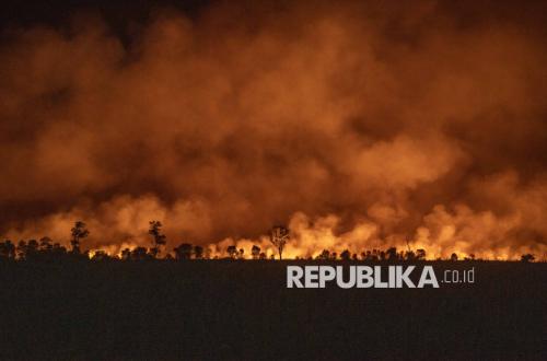 Perhutani Intensifies Patrols in Indramayu to Anticipate Forest Fires During Dry Season