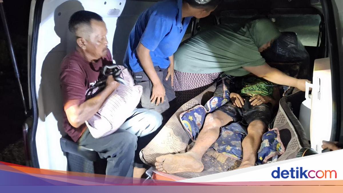 Man in Siak Injured After Being Attacked by Sumatran Tiger While Defecating