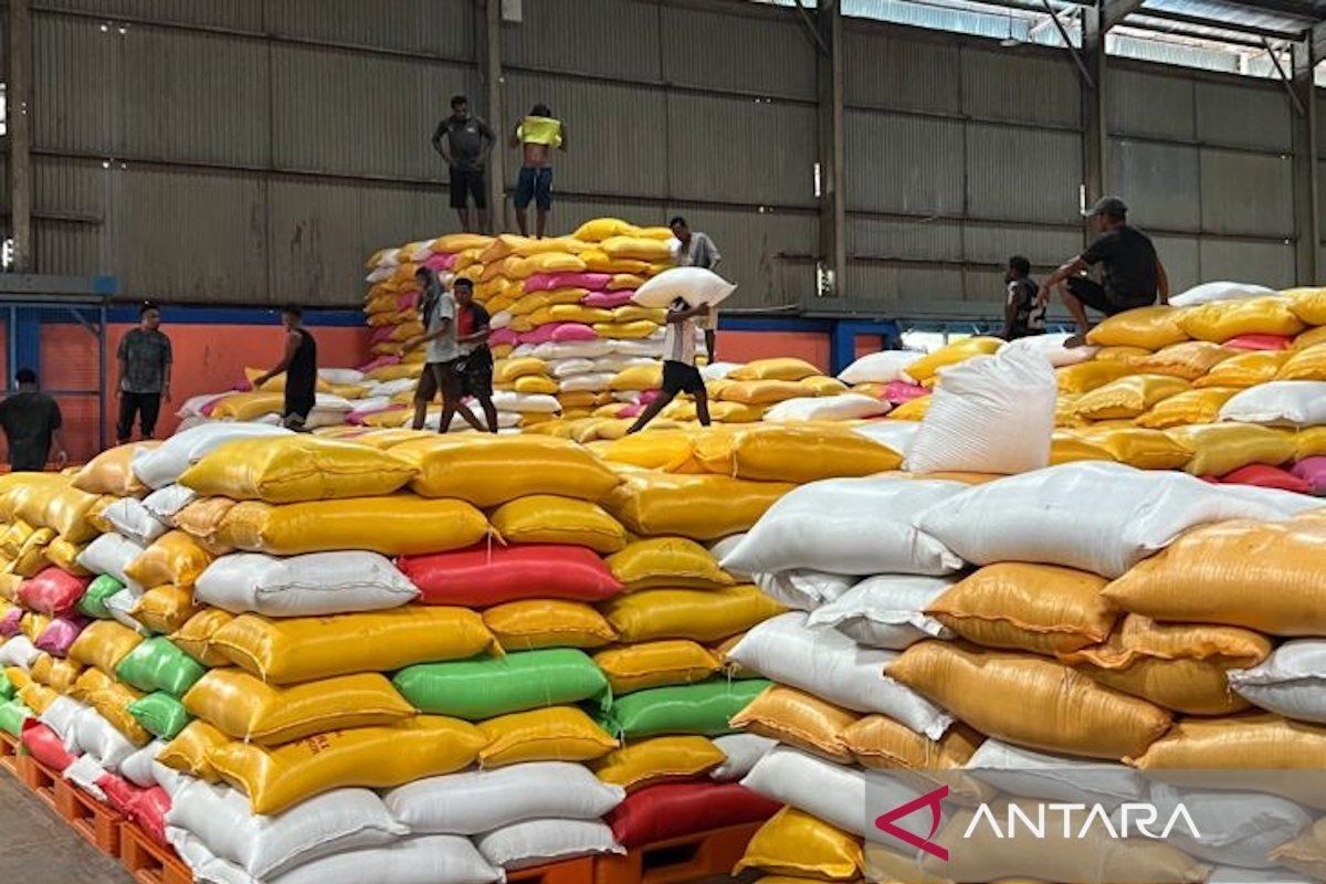 The Wisdom Behind Rice Exports