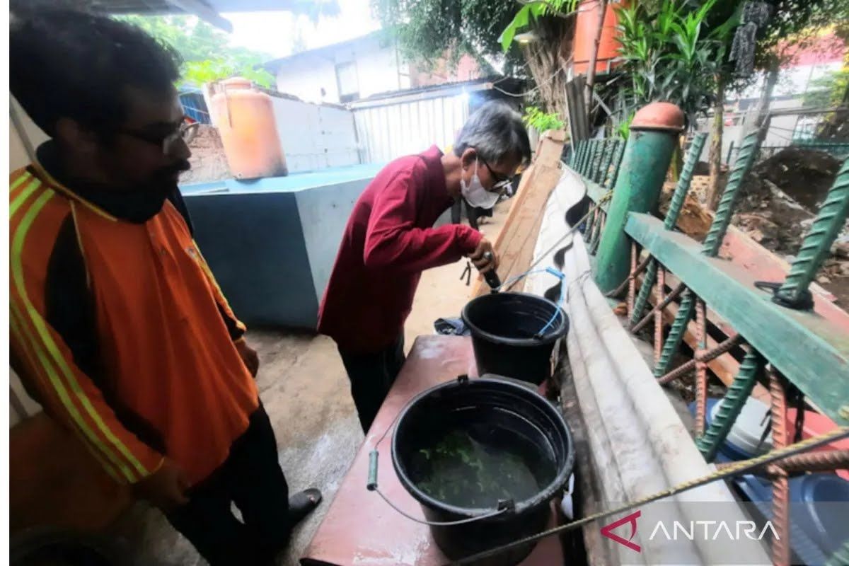 Cakung records highest dengue cases in East Jakarta