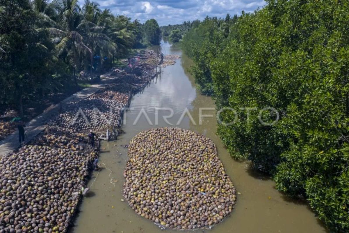 Indonesia Targets Becoming Major Global Exporter of Downstream Coconut Products