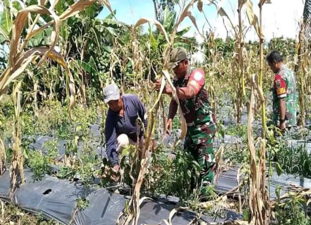 Army: Babinsa Not Authorised to Collect Taxes