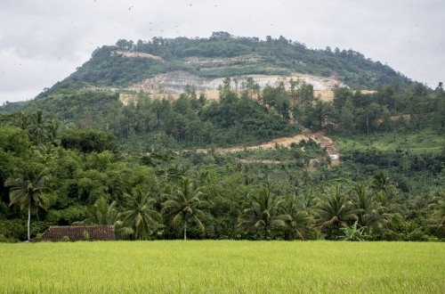 Damaging the Environment Betrays Humanity's Mandate as Khalifah