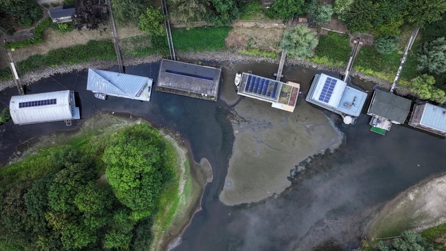Europe's Heatwave Crisis: The Netherlands, Once a 'Land Under Water', Now Faces Drought
