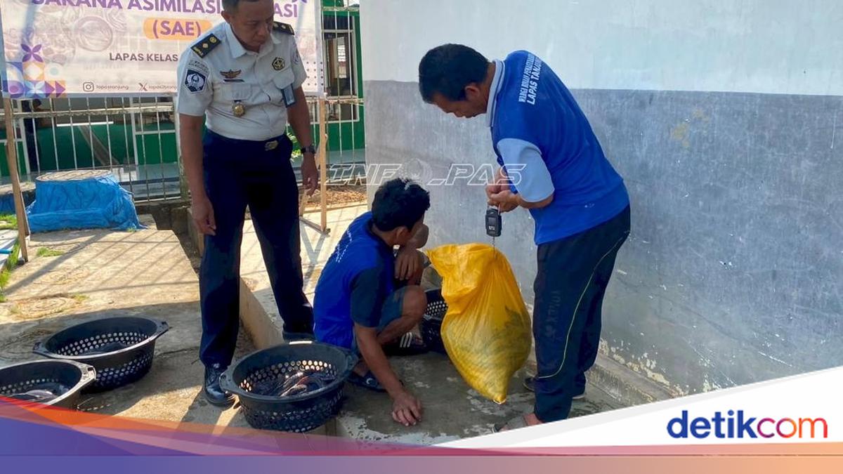 Inmates in South Kalimantan Learn Responsibility and Teamwork Through Catfish Farming