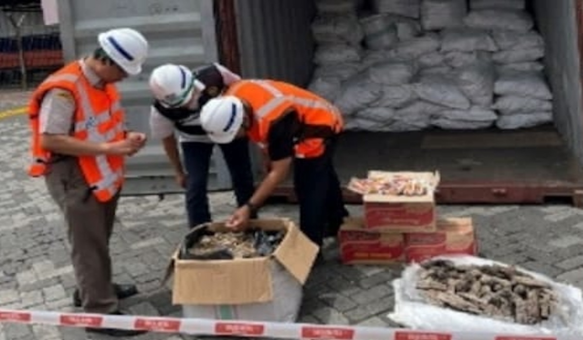 Ministry of Forestry Uncovers Smuggling of 3 Tonnes of Pangolin Scales Bound for Cambodia