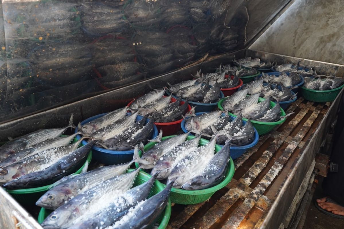 East Lombok BMT Builds End-to-End Fish Farming Ecosystem