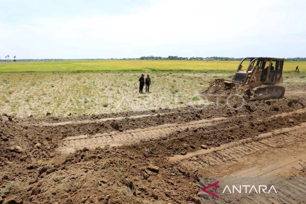 Government accelerates recovery of disaster-affected rice fields in Aceh