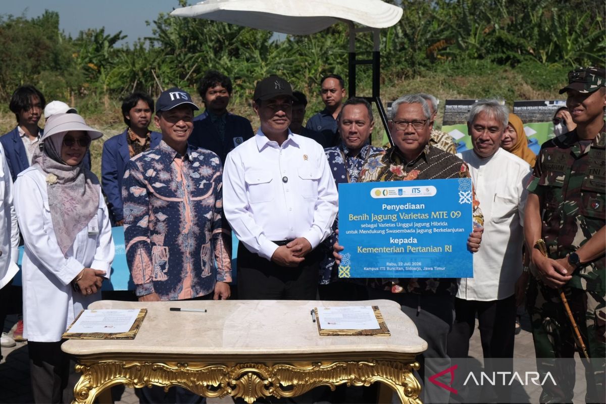 Indonesia boosts corn output with new high-yield seed