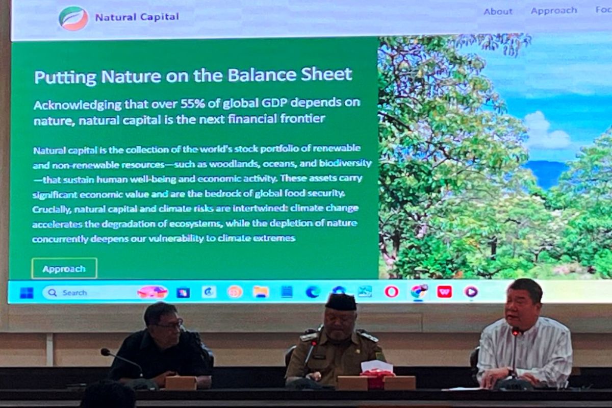 Berau, Seychelles explore candlenut cultivation on post-mining lands