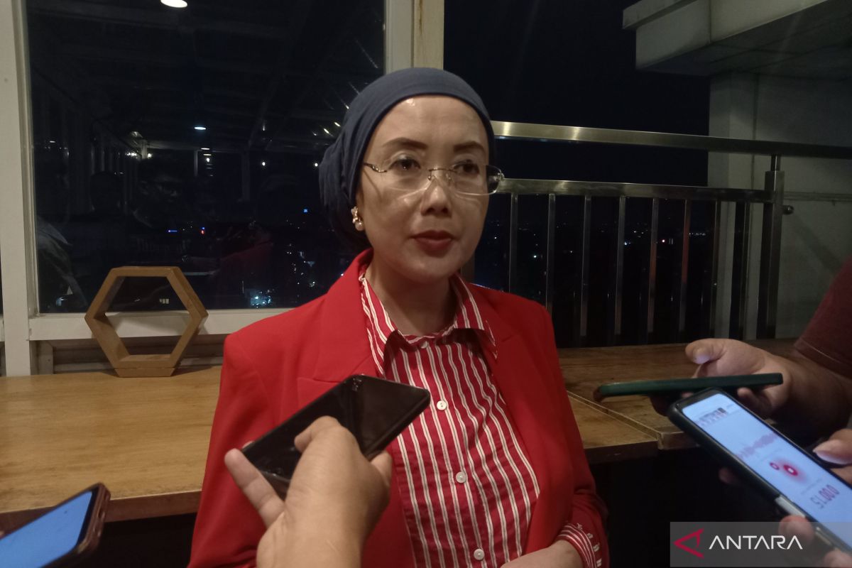 DPR Member: Indramayu Case Should Be Momentum to Strengthen Child Protection