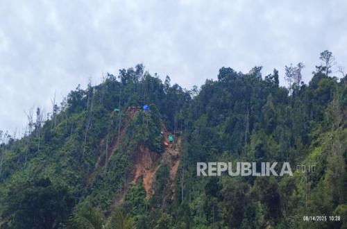 Forestry Ministry Uncovers Illegal Mining Distribution Route in NTB, Eight Detained
