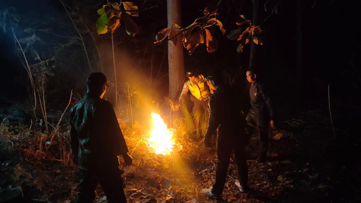 Forest Fire Scorches 2.3 Hectares in Ponorogo, Suspected Arson