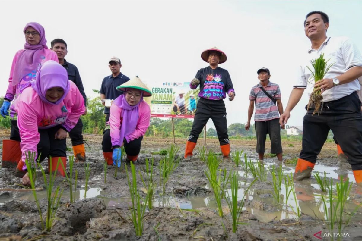 Jakarta Government Drafts Regulation for Mass Planting of Rice Companion Crops