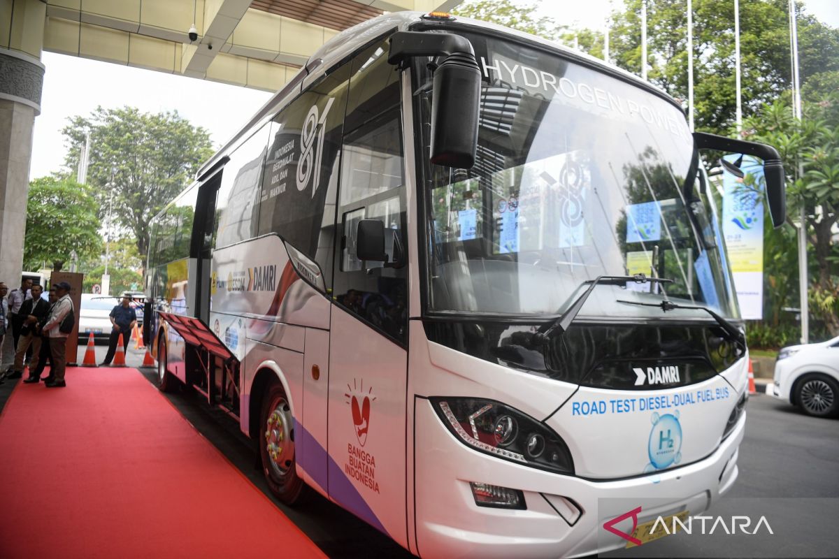 White hydrogen potential, duck feather exports among economic highlights