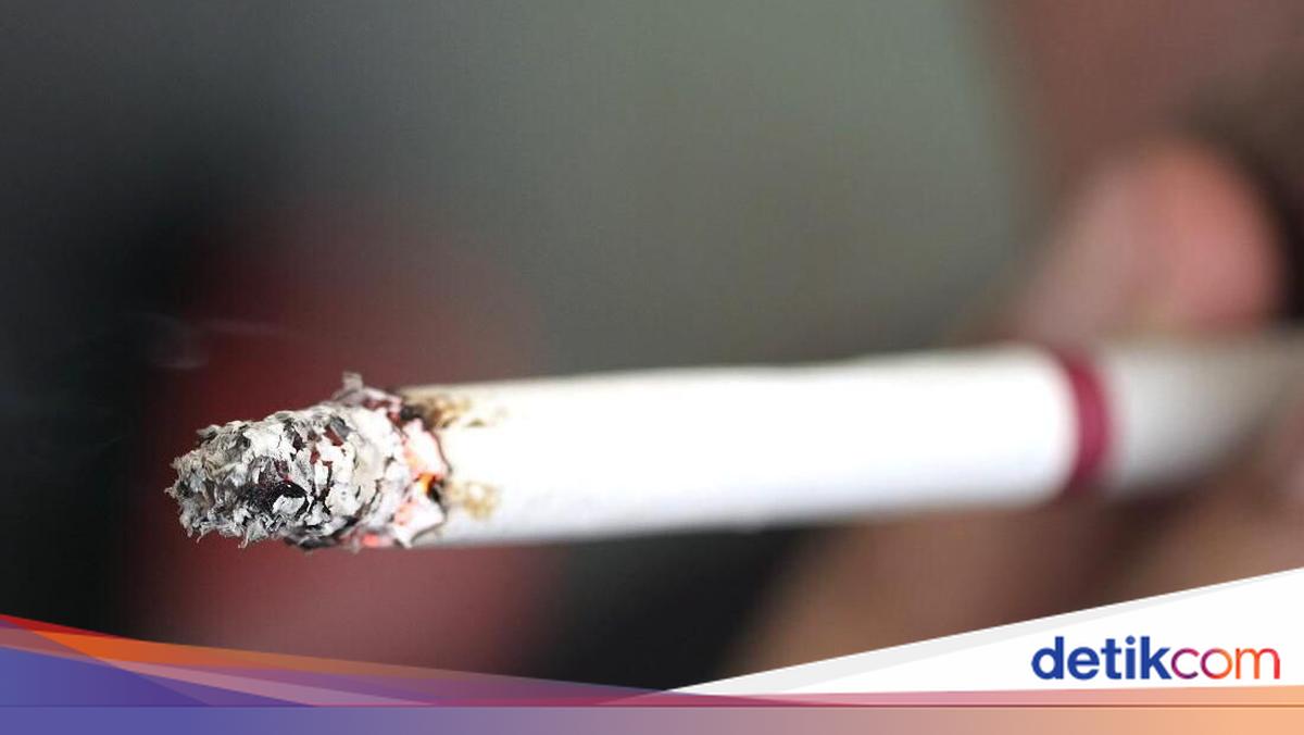North Jakarta Parks and Forestry Officer Reprimanded for Smoking While Driving Official Truck