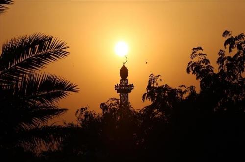How Islam Teaches Humanity to Love the Environment and All Creatures