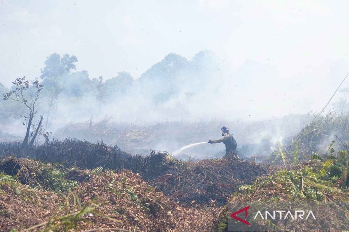Forest Fires Threaten Orangutan Rehabilitation Centre in West Kalimantan, Water Bombing Deployed