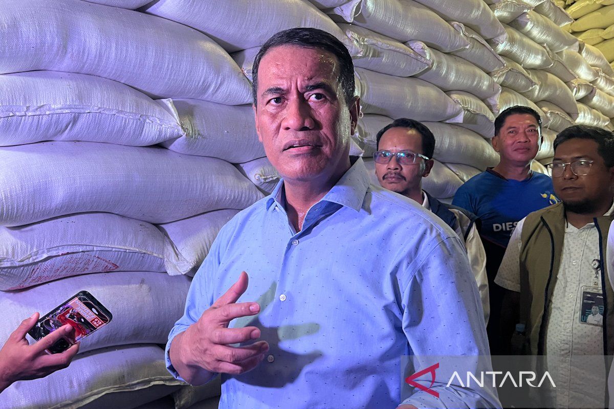 Indonesia achieves self-sufficiency in eight food commodities: Govt