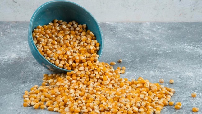Top 10 Corn-Producing Provinces: Java vs Eastern Indonesia