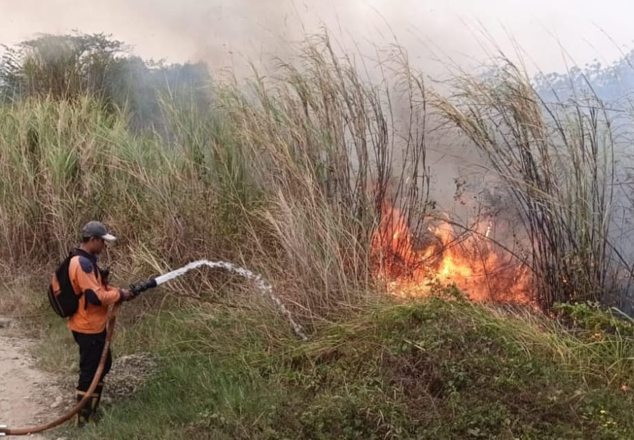 Dozens of Forest and Land Fires Occur in Majalengka