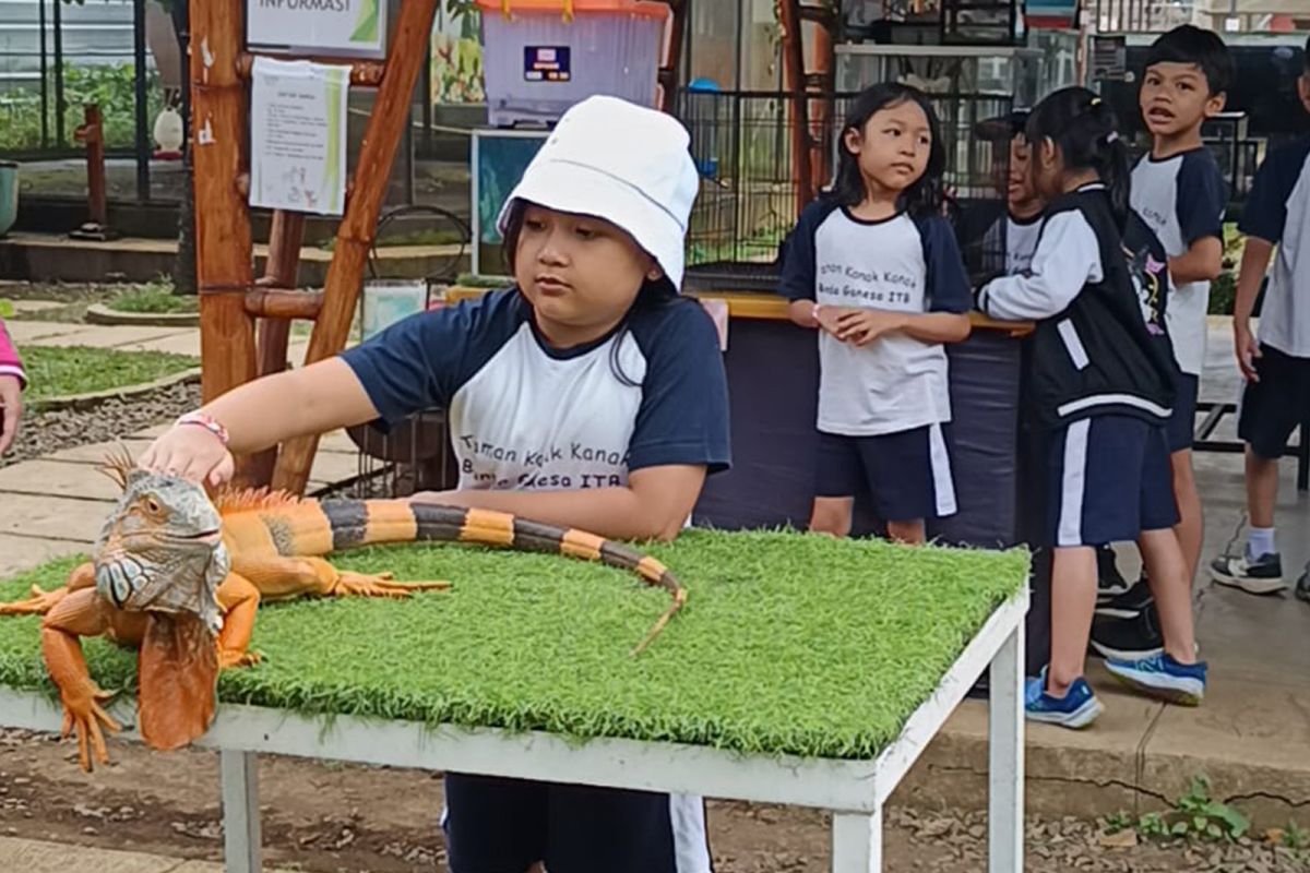 Ministry promotes meaningful learning in early childhood education through deep learning