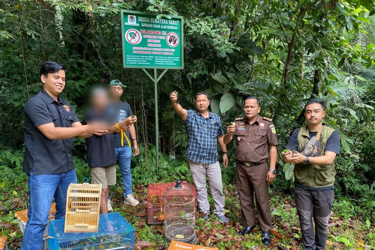 Agam Police and BKSDA West Sumatra Release Hundreds of Protected Birds into Conservation Forest