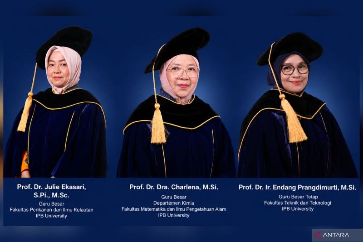 Three IPB Professors Unveil Innovations to Tackle Global Challenges