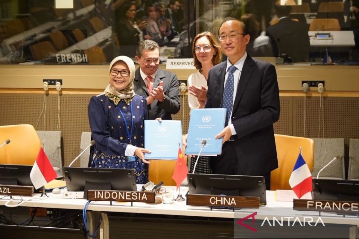 Indonesia Replaces China on UN Board of Auditors