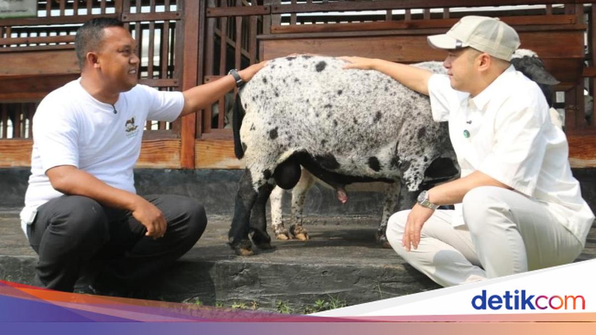 Irfan Hakim Moved to Tears During Visit to Karawang Prison's Rehabilitation Farm