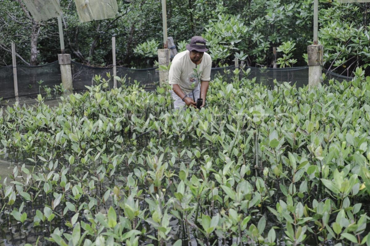Government pushes for MSMEs to join Bintan tourism supply chain