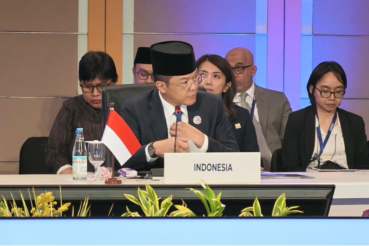 Indonesia Urges Japan and ASEAN to Bolster Support for Palestine